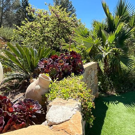 Villa Avec Jacuzzi Sur Les Hauteurs De La Ciotat Ceyreste Exteriör bild