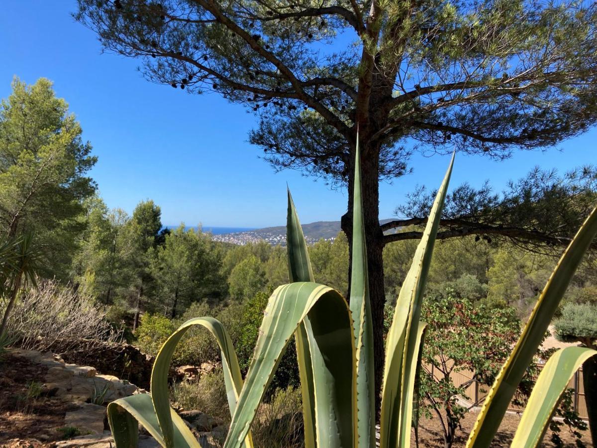 Villa Avec Jacuzzi Sur Les Hauteurs De La Ciotat Ceyreste Exteriör bild