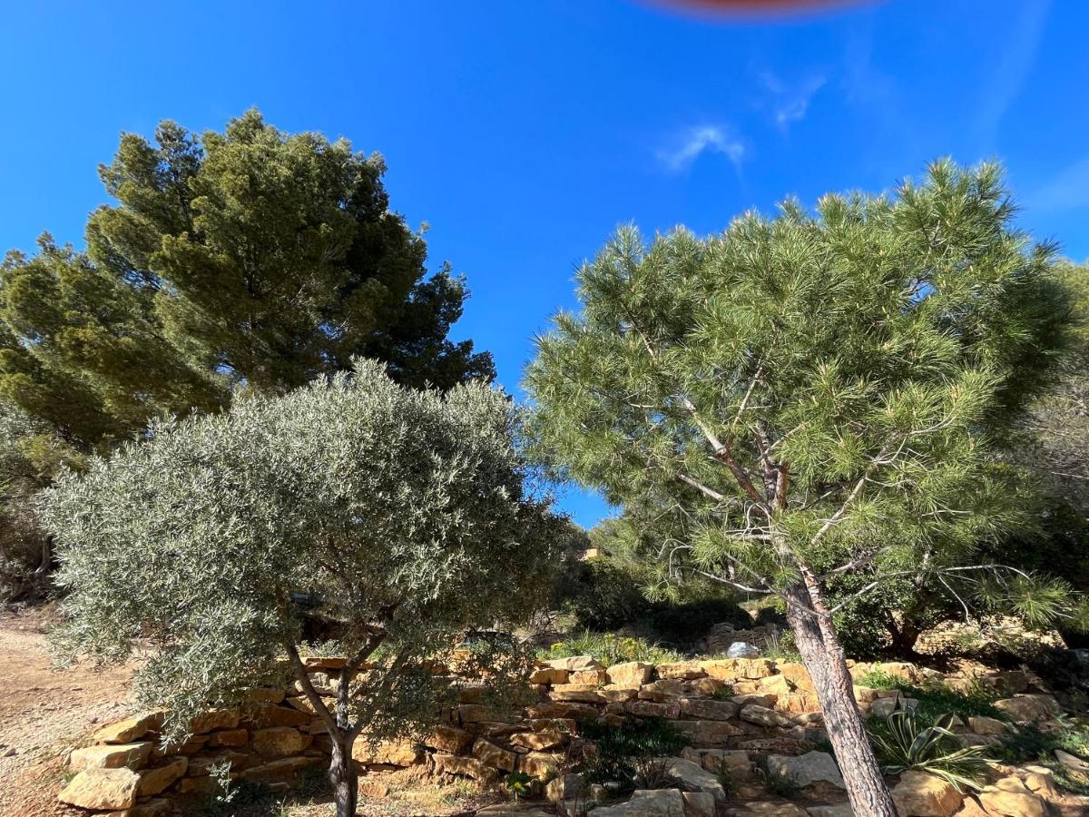 Villa Avec Jacuzzi Sur Les Hauteurs De La Ciotat Ceyreste Exteriör bild
